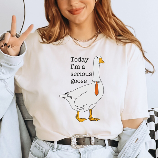 Today I’m A Serious Goose Comfort Colors Shirt, Funny Silly Shirt, Funny Goose Shirt, Shirts for Men, Funny Goose T-Shirt LS888