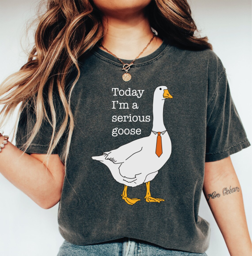 Today I’m A Serious Goose Comfort Colors Shirt, Funny Silly Shirt, Funny Goose Shirt, Shirts for Men, Funny Goose T-Shirt LS888