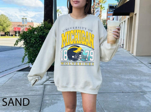 Vintage Michigan Crewneck Sweatshirt, Distressed Michigan Shirt, Illinois Fan Crewneck Michigan, Illinois Gift, College Sweater