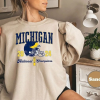 Vintage Michigan Crewneck Sweatshirt, Distressed Michigan Shirt, Illinois Fan Crewneck Michigan, Illinois Gift, College Sweater