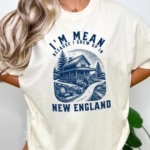 Noah Kahan New England Tee, Stick Season Unisex Comfort Colors Band Concert Tee, Summer Concert Tour, Boho Festival Tee