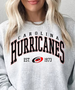 Vintage Sweatshirt, Carolina Hurri.canes Shirt, Hurricanes Tee,…