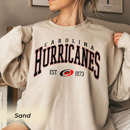 Vintage Sweatshirt, Carolina Hurri.canes Shirt, Hurricanes Tee, Hockey Sweatshirt, Hockey Sweatshirt, College Sweater, Hockey Fan Shirt