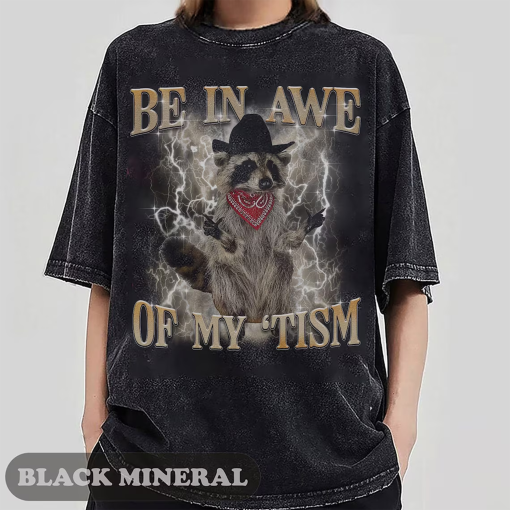 Be in awe of my ’tism t-shirt and sweatshirt, Funny cowboy racoon Shirt, Stay Trashy Funny Meme T-Shirt, Vintage Raccoon Opossum Skunk Shirt