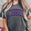 Chicago Baseball Shirt, Chicago Baseball Vintage, Cubs Vintage, Retro Cubs Shirt, Chicago Est 1876, Cubs Aesthetic, Wrigley Field