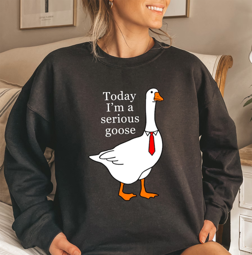 Today I’m A Serious Goose Sweatshirt, Silly Goose Shirt, Funny Silly Goose University Crewneck, Silly Goose Hoodie, Trendy Unisex Shirt