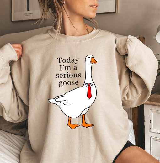 Today I’m A Serious Goose Sweatshirt, Silly Goose Shirt, Funny Silly Goose University Crewneck, Silly Goose Hoodie, Trendy Unisex Shirt