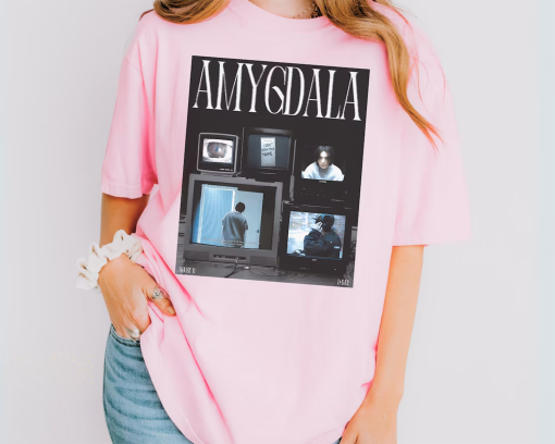 Amygdala Suga shirt, bts shirt, vintage style Agust d tshirt, world tour shirt, comfort colors tshirt, army gifts, bts d day agust movie tee