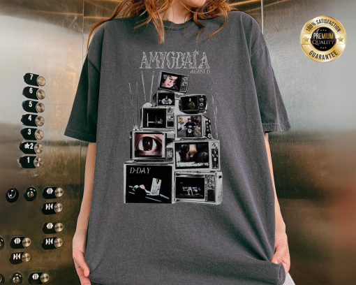 Amygdala Suga shirt, bts shirt, vintage style Agust d tshirt, world tour shirt, comfort colors tshirt, army gifts, bts d day agust movie tee