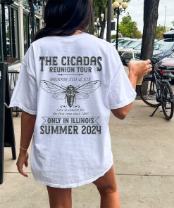 Cicada Concert Tour 2024 Comfort Colors Shirt…