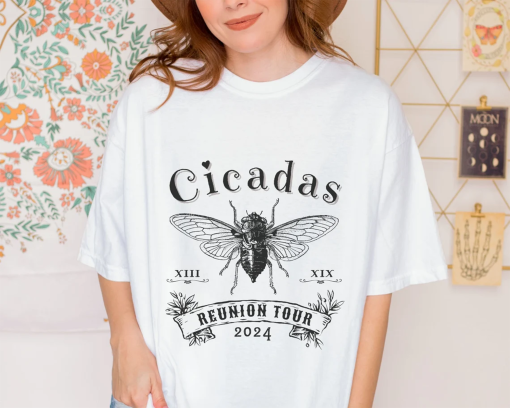 Retro Cicada 2024 Shirt, Year of The Cicadas Brood Emergence Goblincore Bug Soft Tee, Cottagecore Trendy Tshirt, Insect Lover Gift For Her