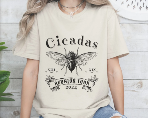 Retro Cicada 2024 Shirt, Year of The Cicadas Brood Emergence Goblincore Bug Soft Tee, Cottagecore Trendy Tshirt, Insect Lover Gift For Her