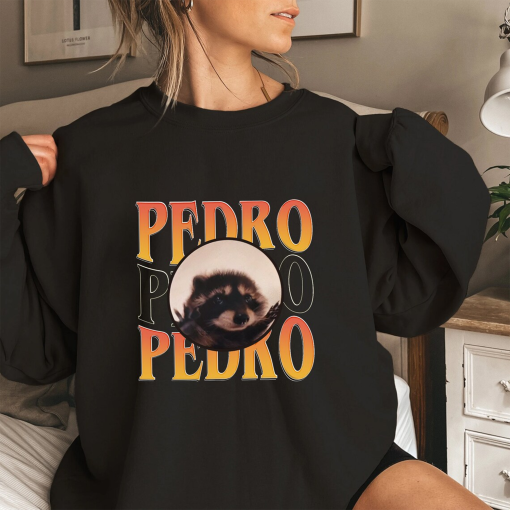 Pedro Raccoon T-Shirt, Meme Animal T-Shirt, Viral Pet T-Shirt, Racoon Lover Tshirt, Funny Shirt For Men Women, Cute Meme Tee