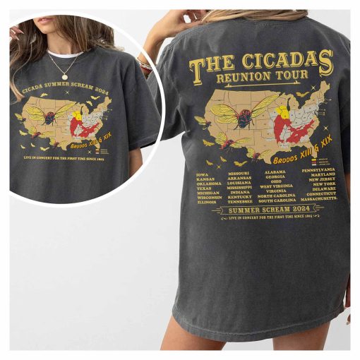 The Cicadas Reunion Tour Shirt, Cicadas Invasion Summer Scream 2024 Tee, Cicadas Emergence Summer Music concert Tee, Gift for Nature Lovers