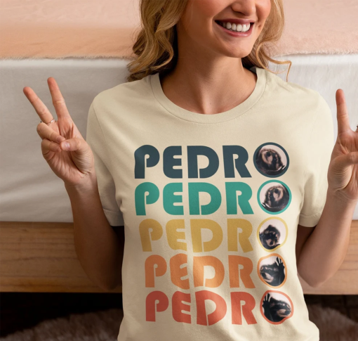 Pedro Pedro Pedro Retro Colorful T-Shirt – Y2K Inspired, TikTok Viral Tee, Unisex Fashionable Meme Apparel