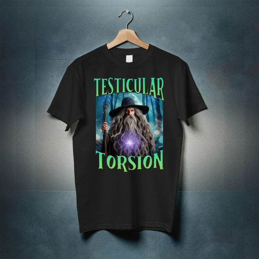 Wizard Funny Shirt, Testicular Torsion, Cursed Spells Shirts, Shadow Wizard Money Gang, Wizard Home, Tiefling Wizard, Inappropriate Gifts