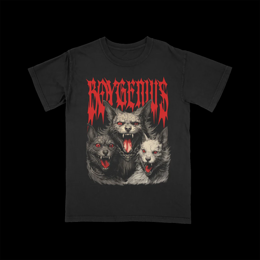 Vintage Boygenius Shirt, Boygenius Band 2024 Tour Shirt, Indie Rock Music Tour 2024, Indie Music Shirt, Boygenius E.rastour