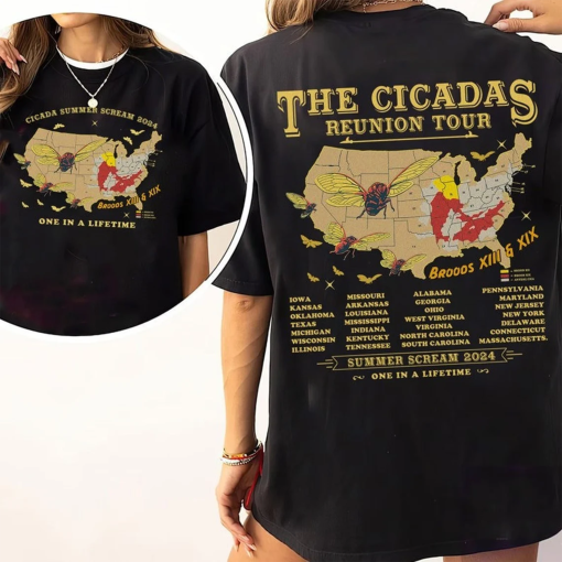 Cicadas Summer Scream Reunion Tour 2024 Shirt, The Cicada Concert Tour Tee, Insect Cicada Broods XIII & XIX, One In a Lifetime, Entomologist