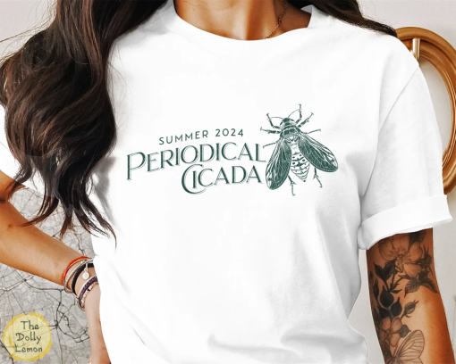 Bella Canvas 3001 Cicada 2024 T-Shirt, Summer Emergence Gardening Entomology Tee, Unisex Organic Cotton Black Shirt