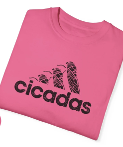 Cicadas Shirt, Funny Cicada 2024 T-Shirt, Cicada…