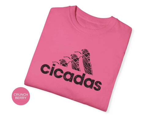 Cicadas Shirt, Funny Cicada 2024 T-Shirt, Cicada Graphic Shirt, Trendy Summer Brood Tee