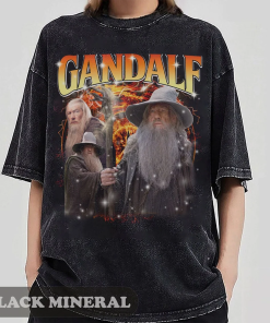 LOTR GANDALFs shirts, Funny Meme Shirt Gandalf,…