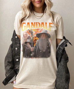 LOTR GANDALFs shirts, Funny Meme Shirt Gandalf,…