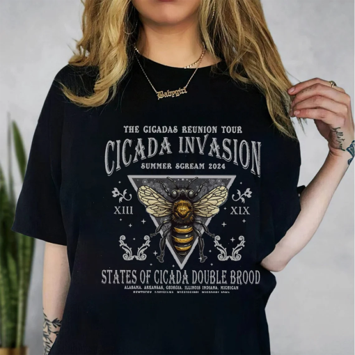 The Cicadas Reunion Tour Shirt, Cicada Concert Tour 2024 Shirt, Year Of The Cicadas Shirt, Funny Cicada Tee, Summer Tee, Bug Lover Gift