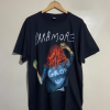 Vintage 00s Paramore American Pop Punk Rock Band T Shirt / Emo Alternative Punk / Y2K Vintage Band T Shirt