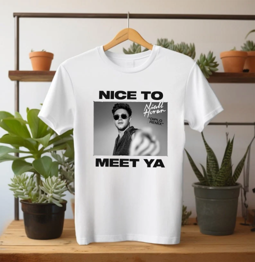 Nice To Meet Ya Niall Horan Shirt, Niall Horan Shirt, Niall Horan Merch Shirt, Niall Horan Tour Shirt, Niall Horan Gift, Shirt For Fan