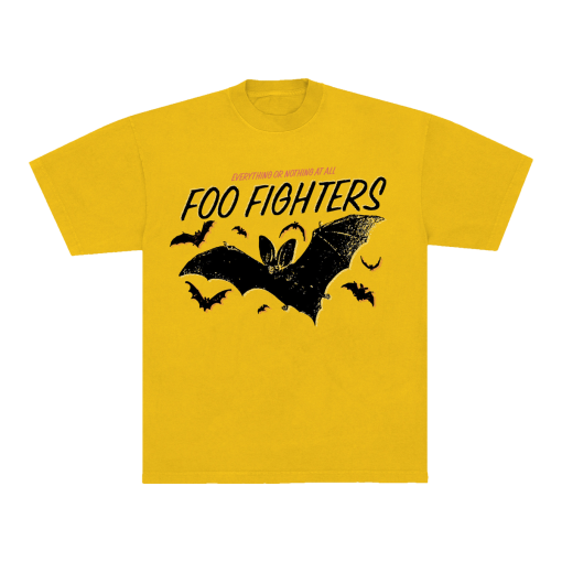 Foo Fighters 2024 Tour Shirt, Everything Or Nothing At Shirt, Foo Fighters Band Shirt, Foo Fighters Fan Gift, Concert Tee, Foo Fighter Merch