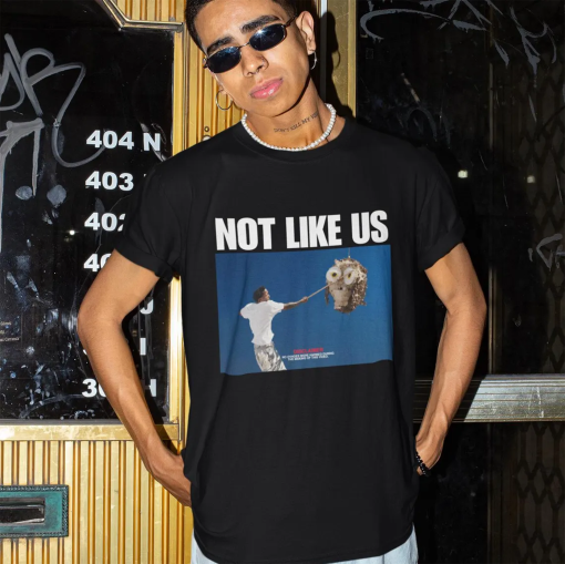 Kendrick Lamar Not Like Us T-shirt, Vintage Hip Hop Rap T-Shirt, OV-Hoe Shirt, OVO Drake Diss, J Cole, Dj Mustard, Demar DeRozan, Dave Free