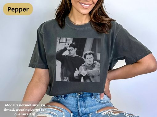 Vintage Joey and Chandler Funny T-Shirt – Friends TV Show Inspired, Comfort Colors