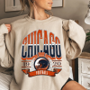 Chicago Football Sweatshirt, Graphic Vintage Skeleton Sweater, Fan Gift Crewneck, Bears