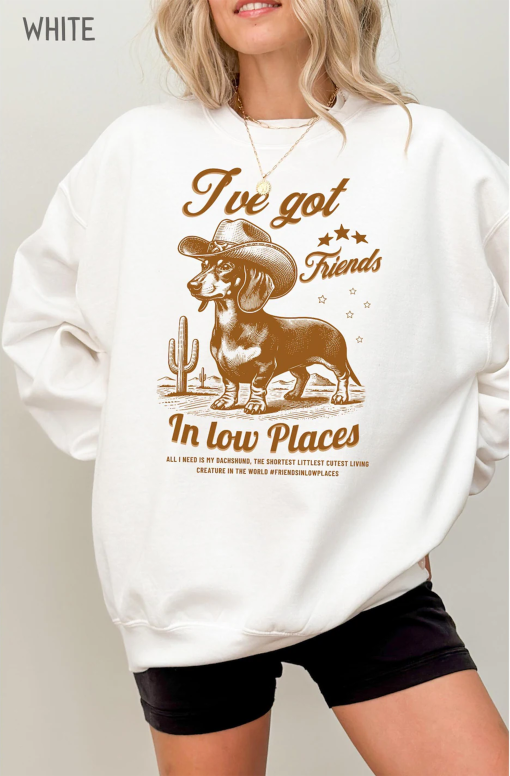 I’ve Got Friends In Low Places, Funny Dachshund Shirt, Dachshund, Wiener Dog, Doxie, Dachshund Gift, Doxie Mom Tee, Western Dog Tshirt