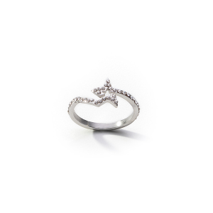 ANILLO DE ACERO
