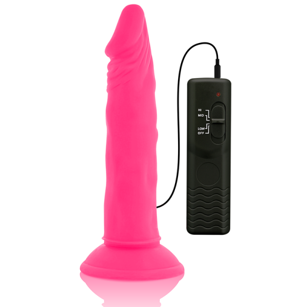 DIVERSIA - DILDO FLEXIBLE CON VIBRACIÓN 23 CM - ROSA - Imagen 6