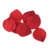 EXTASE SENSUEL COFFRET ROUGE TENTACIÓN - Imagen 4
