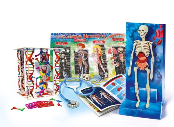 EL  CUERPO HUMANO - Image 2