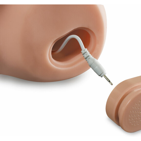 PDX PENE REALÍSTICO CON VIBRACIÓN Y VOZ - Image 6