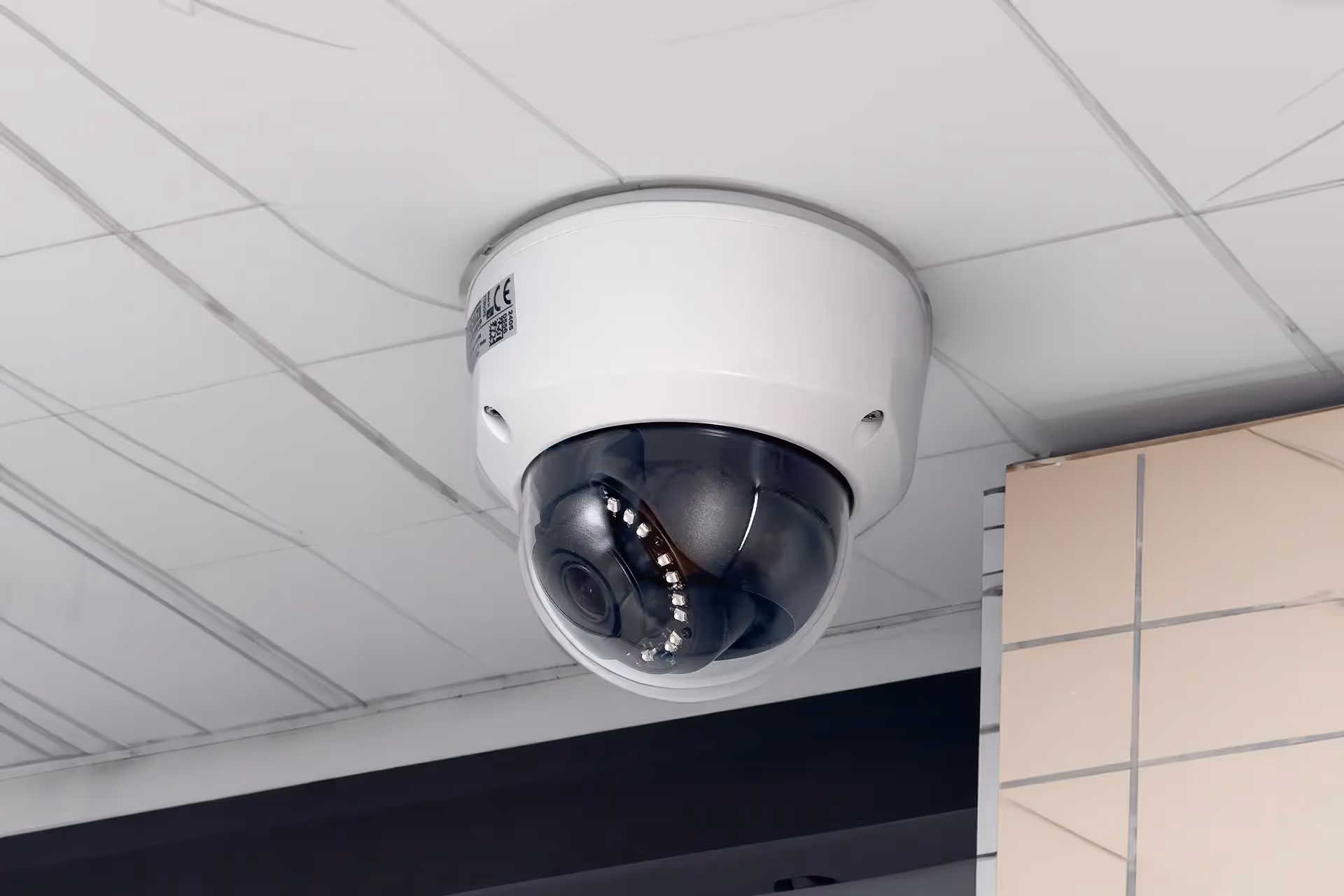 9650MVP 5MP H265+ Motorize Vandal Prof IP Kamera