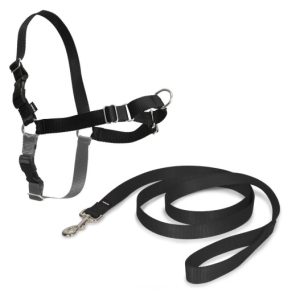 ARNES EASY WALK PEQUEÑO. NEGRO