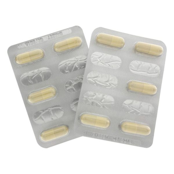 HOT - EXTREME LIBIDO CAPS FEMININO 10 PCS - Image 2