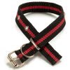 Collar Mascota 40x2,5 Cm Colores Surtidos