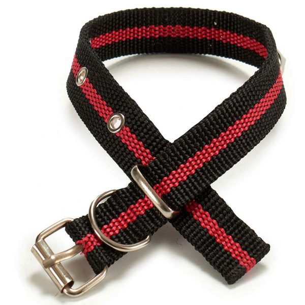 Collar Mascota 40x2,5 Cm Colores Surtidos