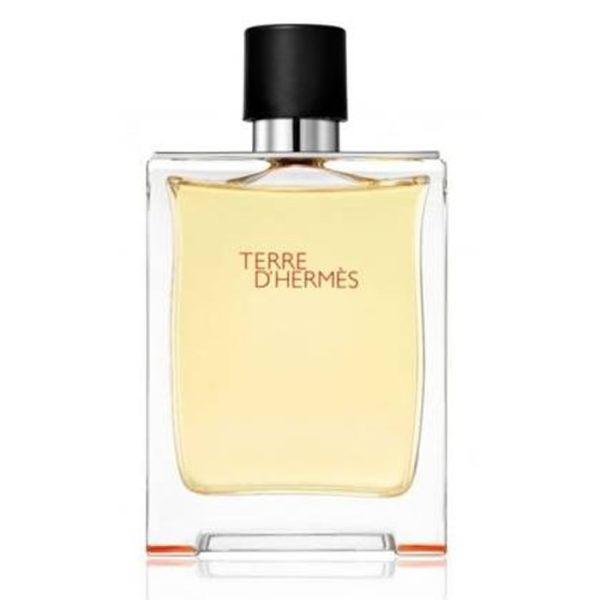 Terre D'Hermes Eau De Toilette Spray 50ml