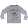 PIJAMA LARGO HARRY POTTER - Image 2