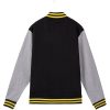 SUDADERA CON CREMALLERA COTTON BRUSHED HARRY POTTER HUFFLEPUFF - Image 3