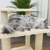 Árvore para gatos c/ postes arranhadores sisal 50,5 cm cor creme - Image 5