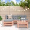 5 pcs conjunto lounge de jardim madeira de douglas maciça